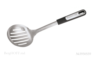 Berghoffmd_3950559