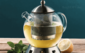 Заварочный чайник Dorado