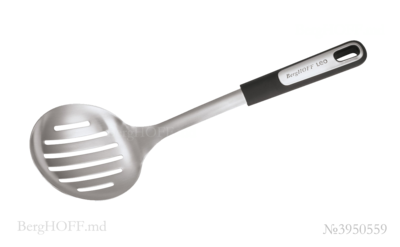 Berghoffmd_3950559.png