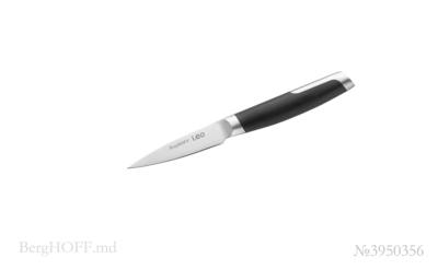 Berghoffmd_3950356.png